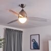 VARAZZE ceiling fan matt nickel, transparent, clear, 1-light source, Remote control