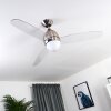 VARAZZE ceiling fan matt nickel, transparent, clear, 1-light source, Remote control