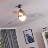 VARAZZE ceiling fan matt nickel, transparent, clear, 1-light source, Remote control