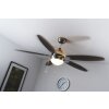 Globo AZURA fan matt nickel, 1-light source