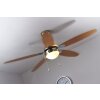 Globo AZURA fan matt nickel, 1-light source