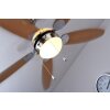 Globo AZURA fan matt nickel, 1-light source