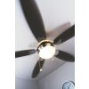 Globo AZURA fan matt nickel, 1-light source