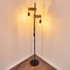 Barbengo Floor Lamp brown, black, 2-light sources