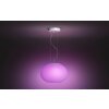 Philips HUE AMBIANCE WHITE & COLOR FLOURISH Pendant Light LED white, 1-light source, Colour changer