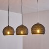 WILDERVANKSTERDALLEN Pendant Light black, 3-light sources