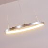 Canisteo Pendant Light LED silver, 1-light source
