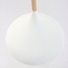 Steinhauer MEXLITE Pendant Light white, 1-light source