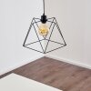 HAVEL Pendant Light black, 1-light source