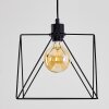 HAVEL Pendant Light black, 1-light source