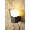 Trio HUDSON outdoor wall lamp black, 1-light source
