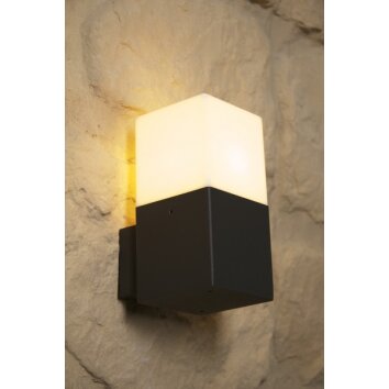 Trio HUDSON outdoor wall lamp black, 1-light source