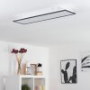 SALMI Ceiling Light LED black, white, 1-light source