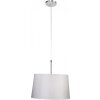 Steinhauer GRAMINEUS hanging light stainless steel, 1-light source