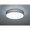 Trio LUGANO Ceiling light LED grey, 1-light source, Remote control