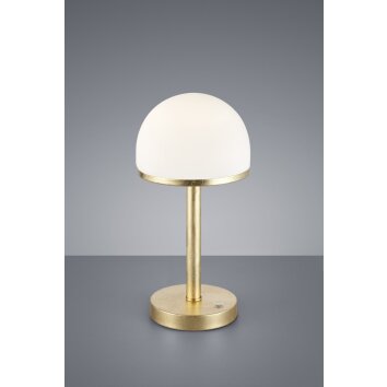 Trio BERLIN Table Lamp LED gold, 1-light source