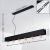 Fria Pendant Light black, 6-light sources