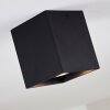 Awuna Ceiling Light black, 1-light source