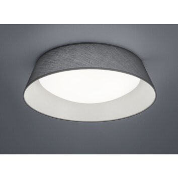 Reality PONTS Ceiling light LED grey, 1-light source
