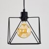 HAVEL Pendant Light black, 1-light source