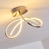 WENGI Ceiling light LED matt nickel, 1-light source