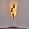 LAMINGTON Floor Lamp black, silver, 3-light sources