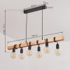 MANTIGAN Pendant Light, 6-light sources