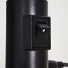WINNIPEG clamp-on light LED black, 1-light source