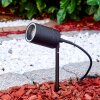 Spike Froslev LED black, 1-light source