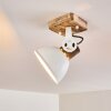 Orny Ceiling Light white, 1-light source