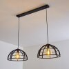 Ballarat Pendant Light black, 2-light sources