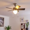 ELLMAU ceiling fan chrome, grey, white, 1-light source