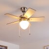 ELLMAU ceiling fan chrome, grey, white, 1-light source