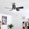 ELLMAU ceiling fan chrome, grey, white, 1-light source