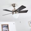 ELLMAU ceiling fan chrome, grey, white, 1-light source