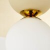 Brilliant ZONDRA Wall Light gold, 1-light source