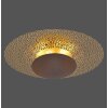 Paul Neuhaus NEVIS Ceiling Light LED rust-coloured, 1-light source