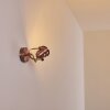 ANIAK Wall Light LED copper, 1-light source