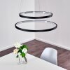 Canisteo Pendant Light LED black, 2-light sources
