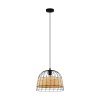 Eglo ANWICK Pendant Light black, 1-light source