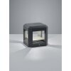 Trio LOGONE Outdoor Wall Light LED anthracite, 1-light source
