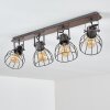Bitterroot Ceiling Light grey, Dark wood, 4-light sources