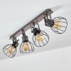 Bitterroot Ceiling Light grey, Dark wood, 4-light sources