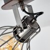 Bitterroot Ceiling Light grey, Dark wood, 4-light sources