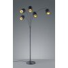 Reality TOMMY Floor Lamp black, 5-light sources