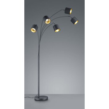 Reality TOMMY Floor Lamp black, 5-light sources