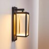 FAROER Outdoor Wall Light LED anthracite, 1-light source, Motion sensor