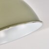 Orny Ceiling Light green, 1-light source