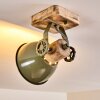 Orny Ceiling Light green, 1-light source