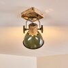 Orny Ceiling Light green, 1-light source
